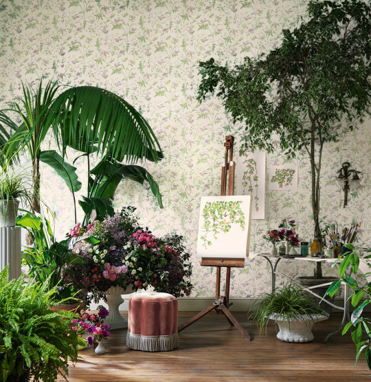 Cole & Son Wallpaper Hummingbirds
