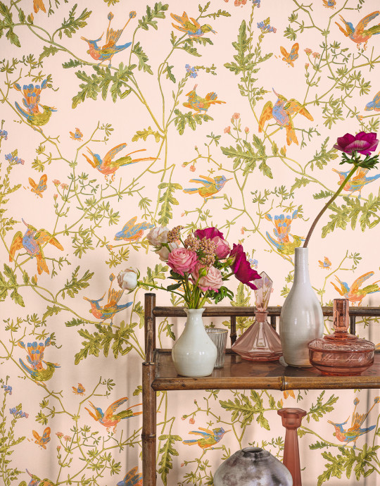 Cole & Son Wallpaper Hummingbirds - Tangerine/ Olive on Blush