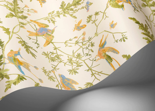 Cole & Son Tapete Hummingbirds - Tangerine/ Olive on Blush