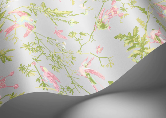 Cole & Son Wallpaper Hummingbirds - Rose/ Olive on Grey