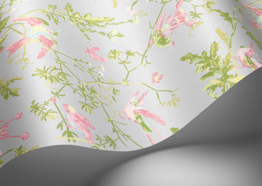 Cole & Son Tapete Hummingbirds - Rose/ Olive on Grey
