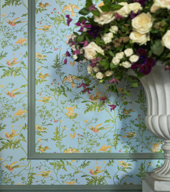 Cole & Son Wallpaper Hummingbirds - Buttercup Yellow on Cornflower Blue