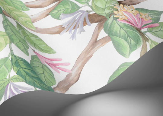 Cole & Son Carta da parati Hummingbirds Flora - Blush Sage/  Mulberry on Cream