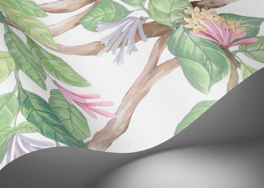 Cole & Son Wallpaper Hummingbirds Flora - Blush Sage/  Mulberry on Cream