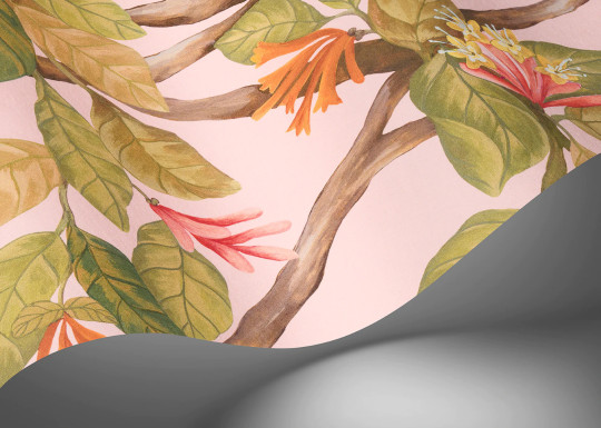 Cole & Son Tapete Hummingbirds Flora - Tangerine/ Olive on Blush