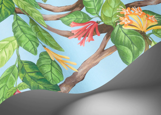 Cole & Son Wallpaper Hummingbirds Flora
