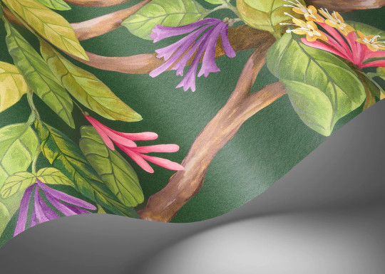 Cole & Son Wallpaper Hummingbirds Flora - Fuchsia on Racing Green