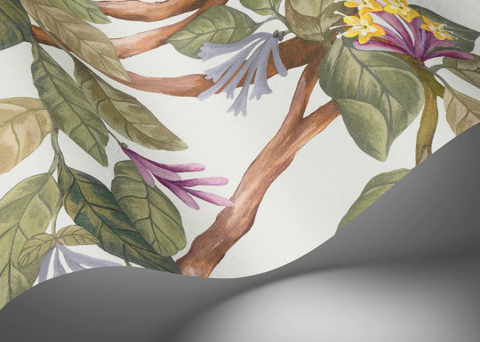 Cole & Son Tapete Hummingbirds Flora - Multi/ Old Olive on Eau Du Nil