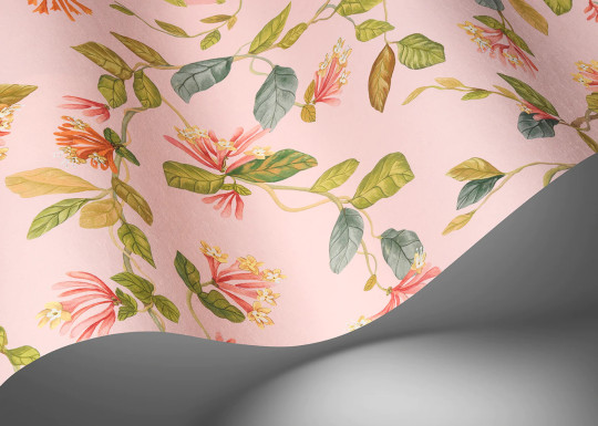 Cole & Son Carta da parati Flora - Tangerine/ Olive on Blush