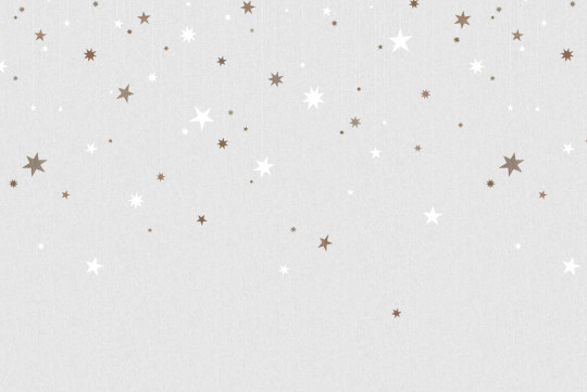 Rebel Walls Papier peint panoramique Stargazing