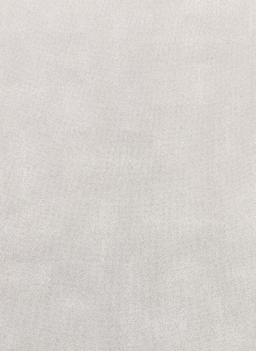 Osborne & Little Tapete Zingrina - Matt Silver