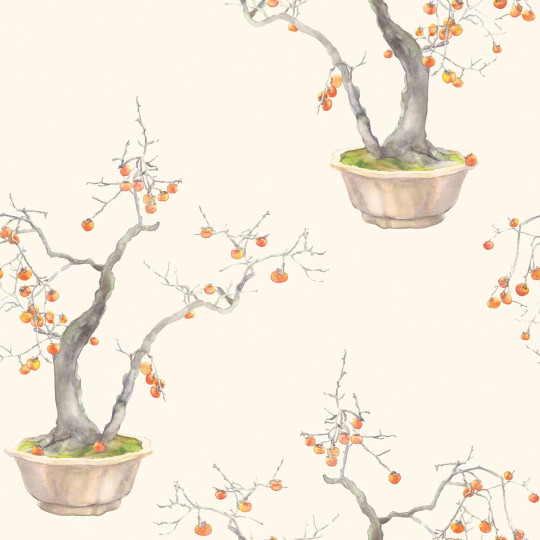 Cole & Son Carta da parati Kaki Persimmon