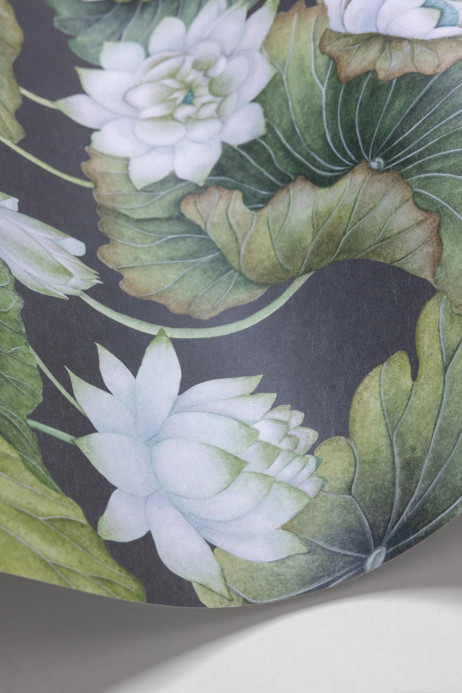 Cole & Son Tapete Lily Lotus
