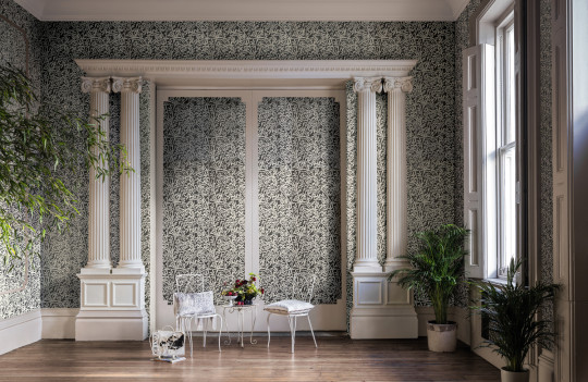 Cole & Son Tapete Bamboo Forest - Snow on Soot