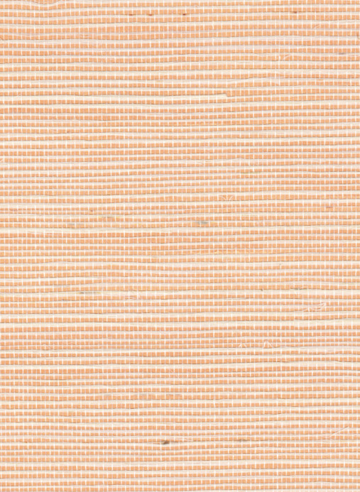 Élitis Tapete Sisal Métallique - RM 1073 50