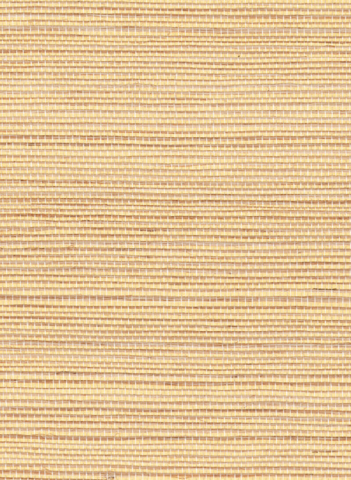 Élitis Tapete Sisal Métallique - RM 1073 92