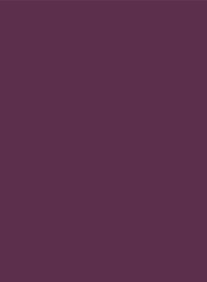 Sanderson Active Emulsion - Meadow Violet 152 - 0,125l