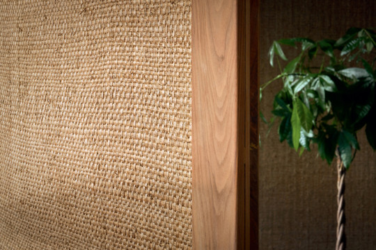 CMO Paris Tapete Papyrus Brut - Naturel