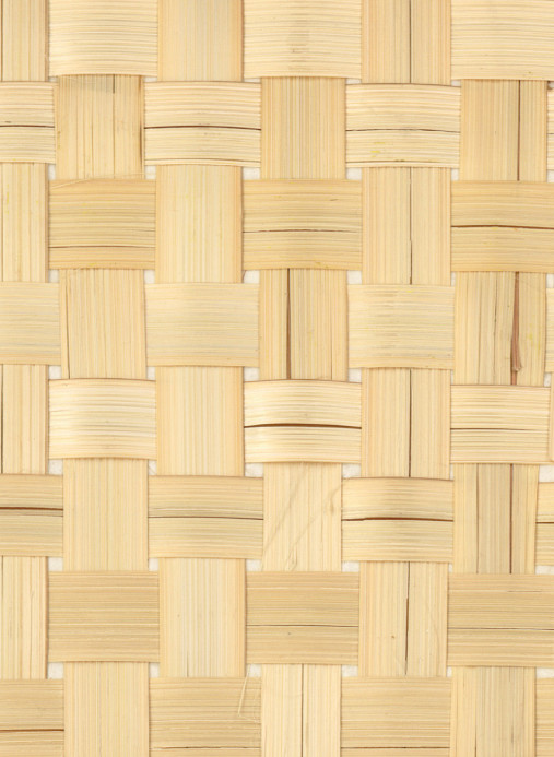 CMO Paris Tapete Bambou Canvas