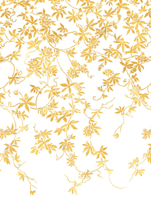 Isidore Leroy Tapete Passiflores - Blanc