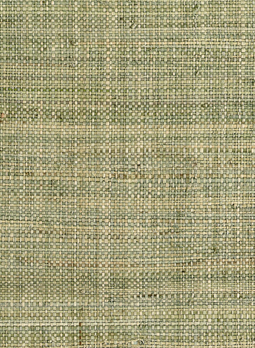 Thibaut Tapete Mackinac - Sage