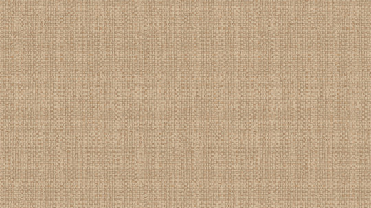 Arte International Carta da parati Puna - Moccasin