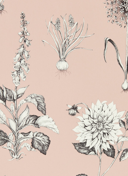 Clarke & Clarke Wallpaper Roseraie - Blush