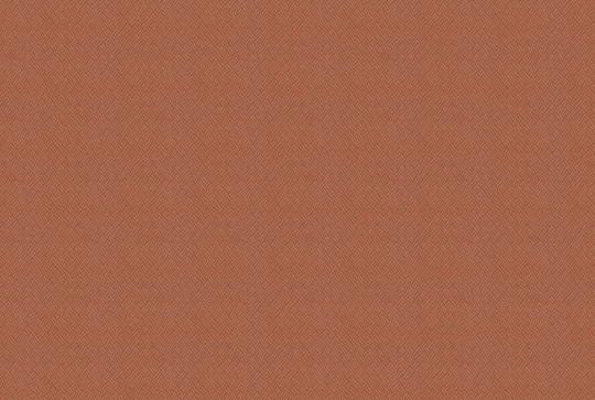 Coordonne Carta da parati Crosshatch - Redwood