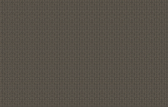Coordonne Carta da parati Maze - Mole