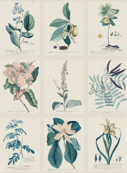 Sandberg Wandbild Flora - Blue