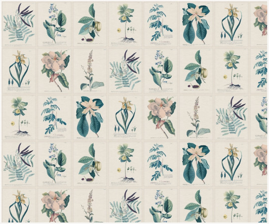 Sandberg Wandbild Flora - Blue