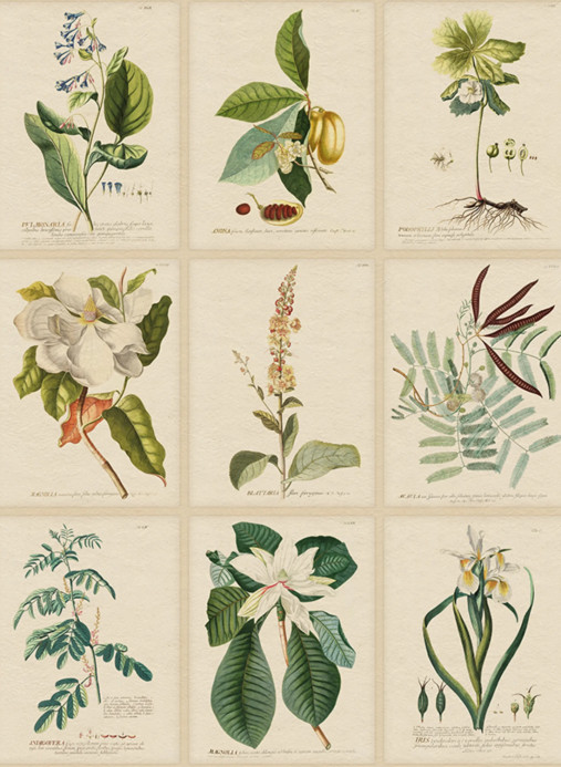 Sandberg Wandbild Flora - Green