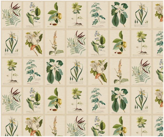 Sandberg Wandbild Flora - Green