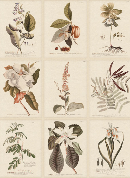 Sandberg Wandbild Flora - Sepia
