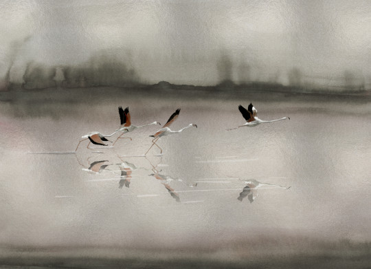 Coordonné Wandbild Doñana - Silver