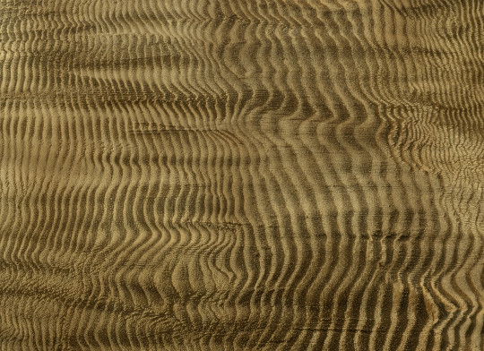 Coordonné Wandbild Harenae - Gold