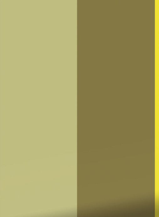 KEK Amsterdam Tapete Bold Stripes 1 Uyterlinde - FU-007