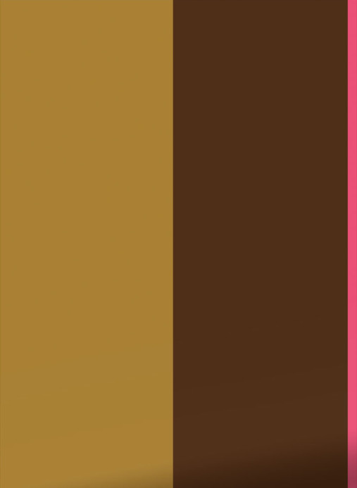 KEK Amsterdam Papier peint Bold Stripes 1 Uyterlinde - FU-015