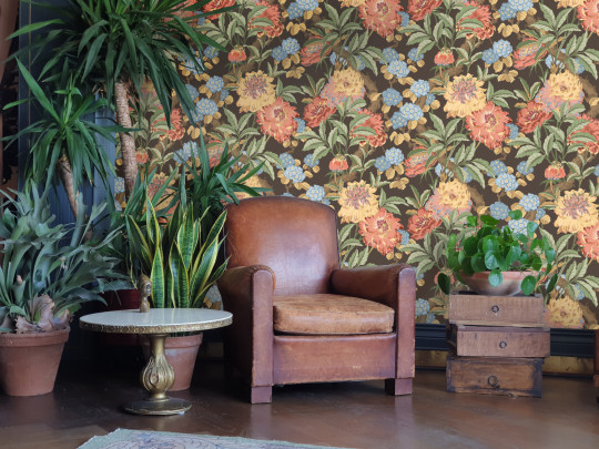 GP & J Baker Tapete Summer Peony