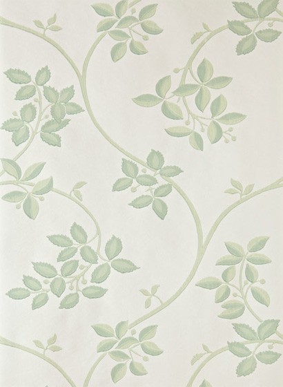 Ringwold von Farrow & Ball - White Tie/ Green
