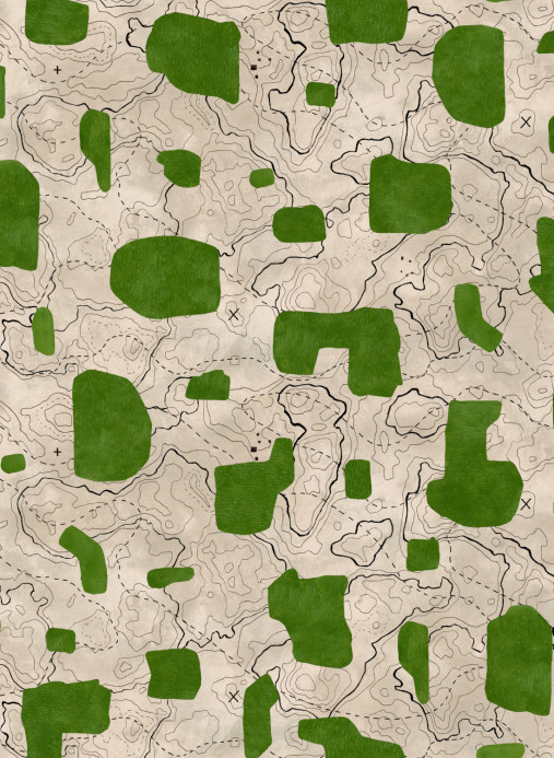 Tres Tintas Papier peint Map Xylography - Green