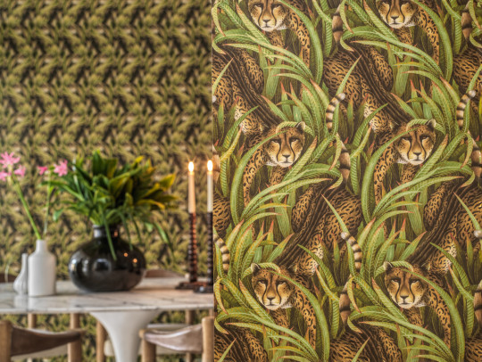 Cole & Son Wallpaper Cheetah Prowl