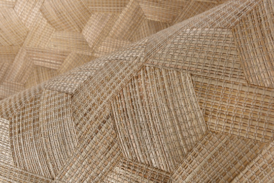 Arte Papier peint Reflect