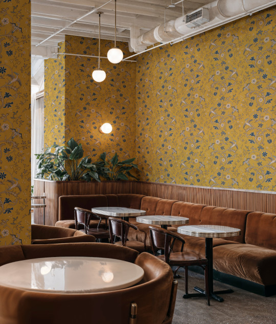 Coordonné Papier peint Antwerp Damask