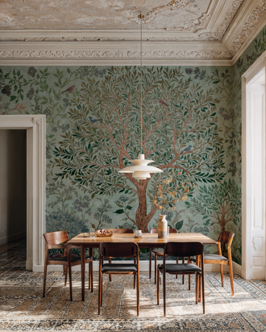 Coordonné Wandbild Varanasi Tree