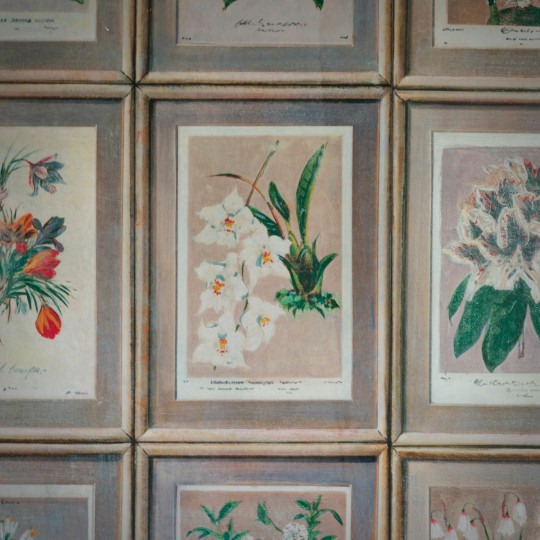 Andrew Martin Tapete Floral - Curafl