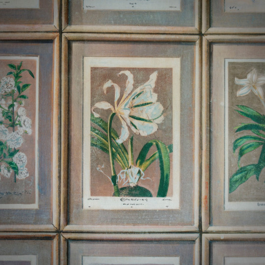 Andrew Martin Tapete Floral - Curafl
