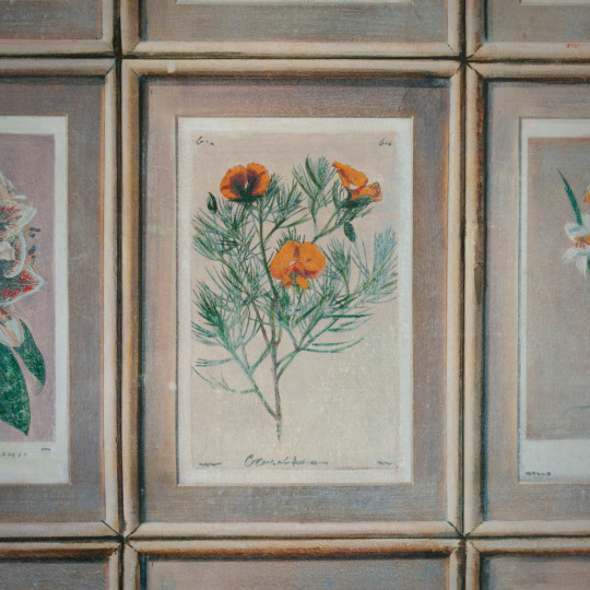 Andrew Martin Tapete Floral - Curafl
