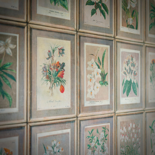 Andrew Martin Tapete Floral - Curafl
