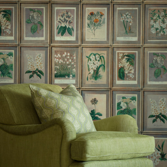 Andrew Martin Tapete Floral - Curafl